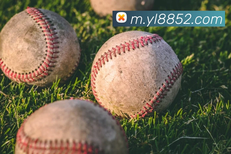 奖项2